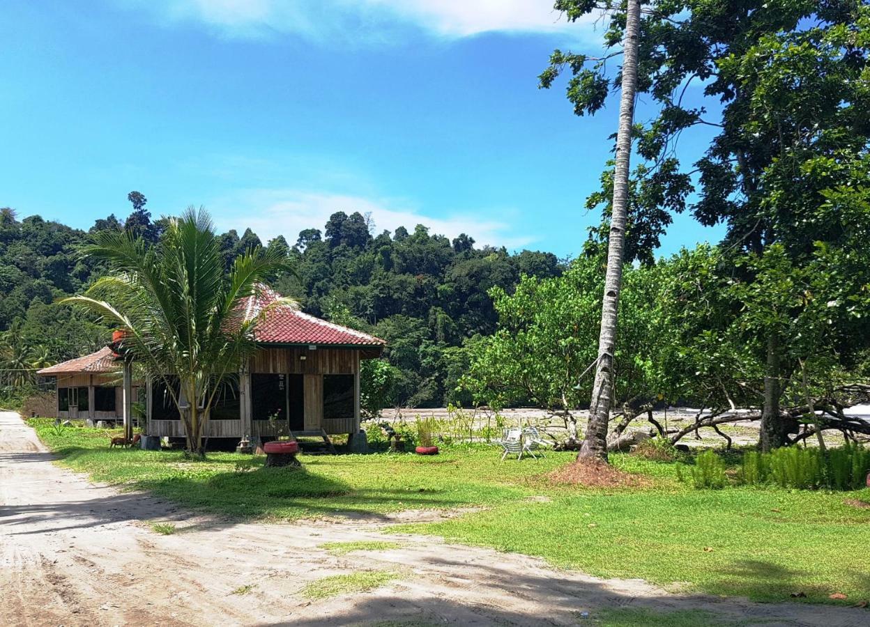Revive Lampung Krui King Resort 외부 사진